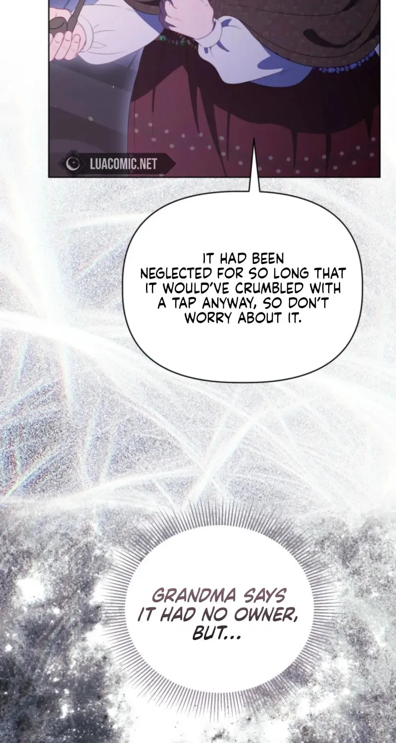Read A Transmigrator’s Privilege Manga Online