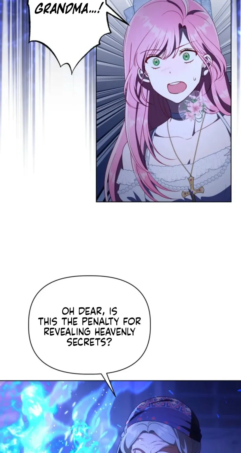 Read A Transmigrator’s Privilege Manga Online