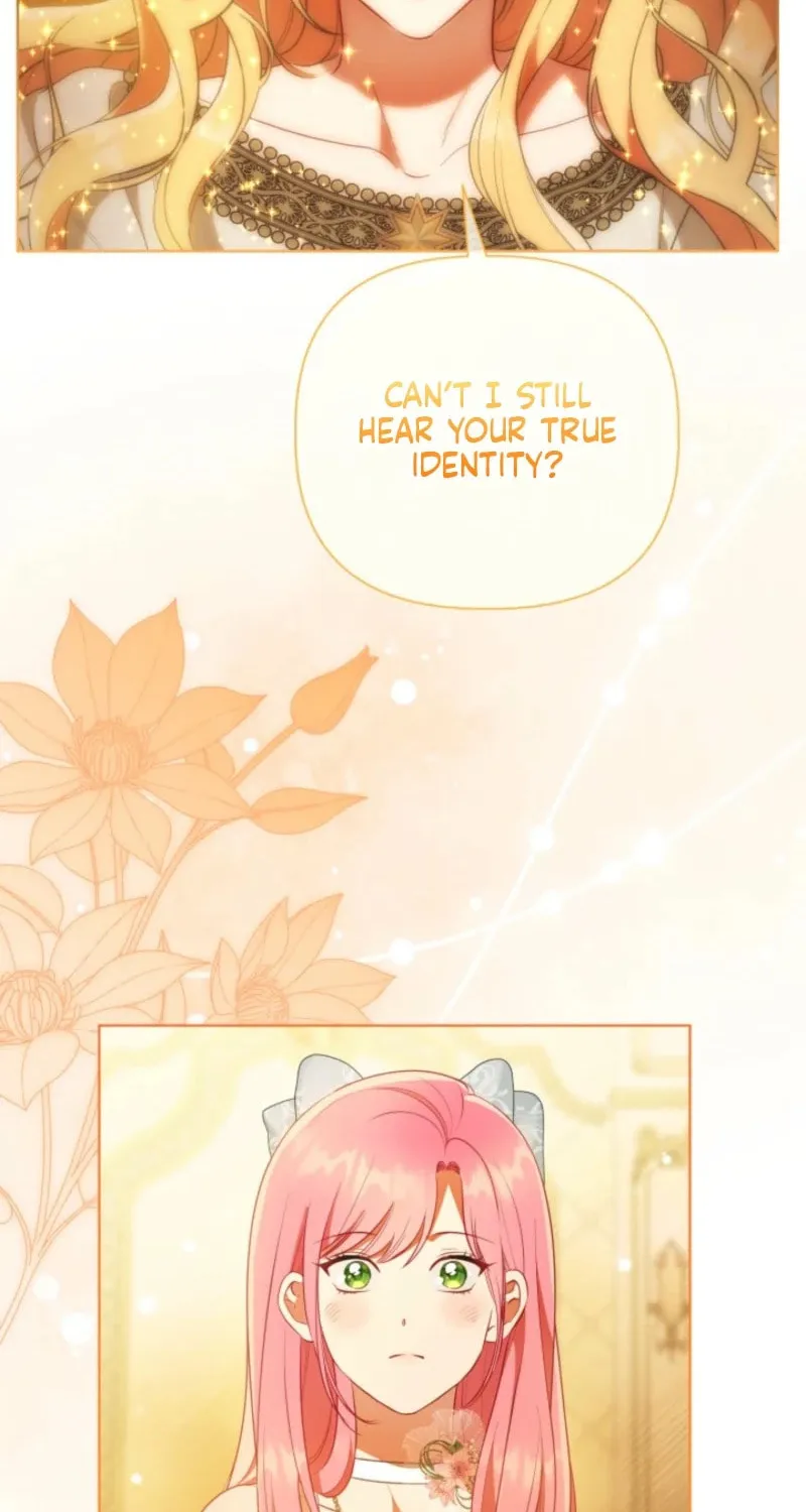 Read A Transmigrator’s Privilege Manga Online