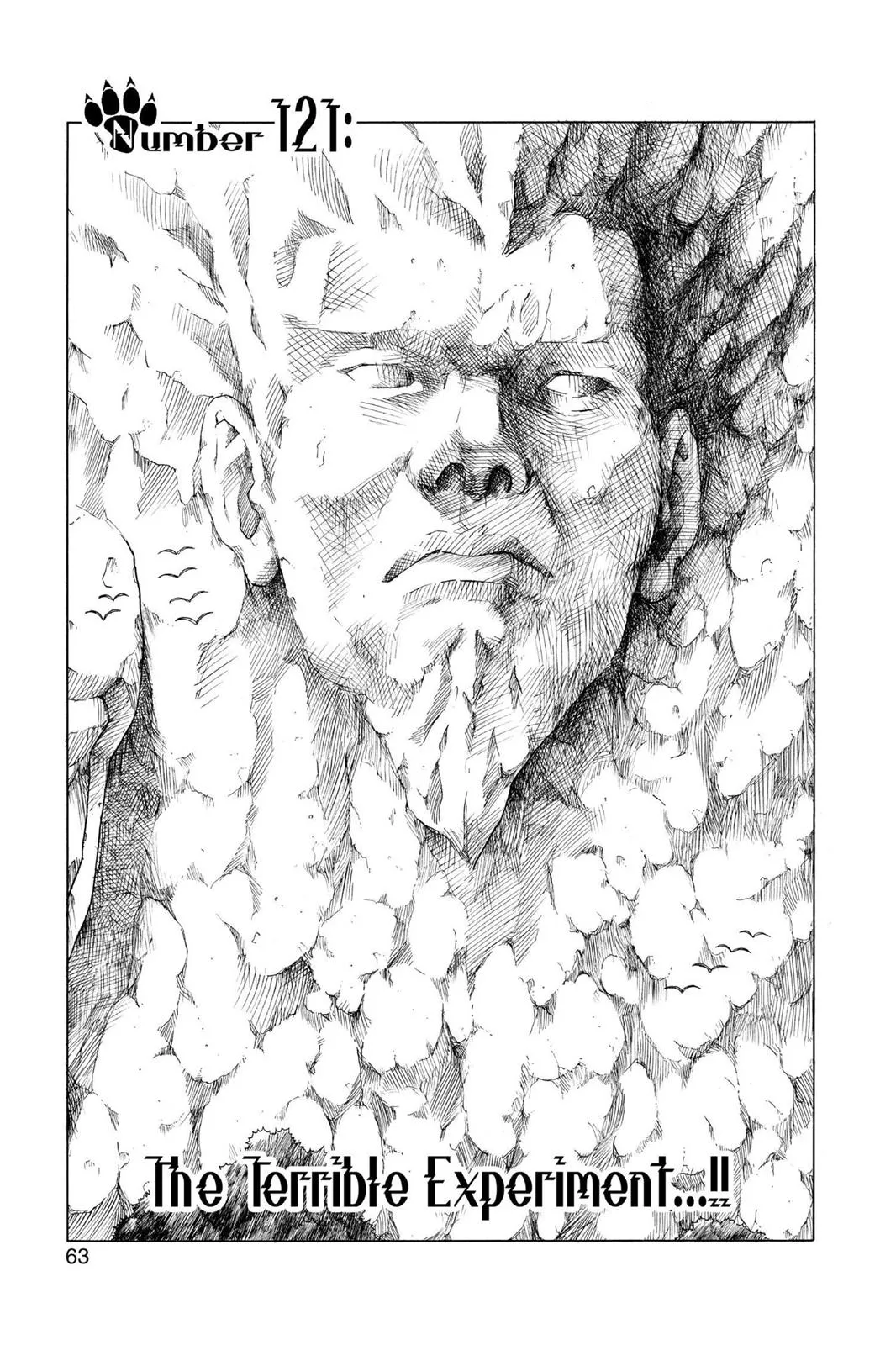 Read Naruto (EN) Manga Online