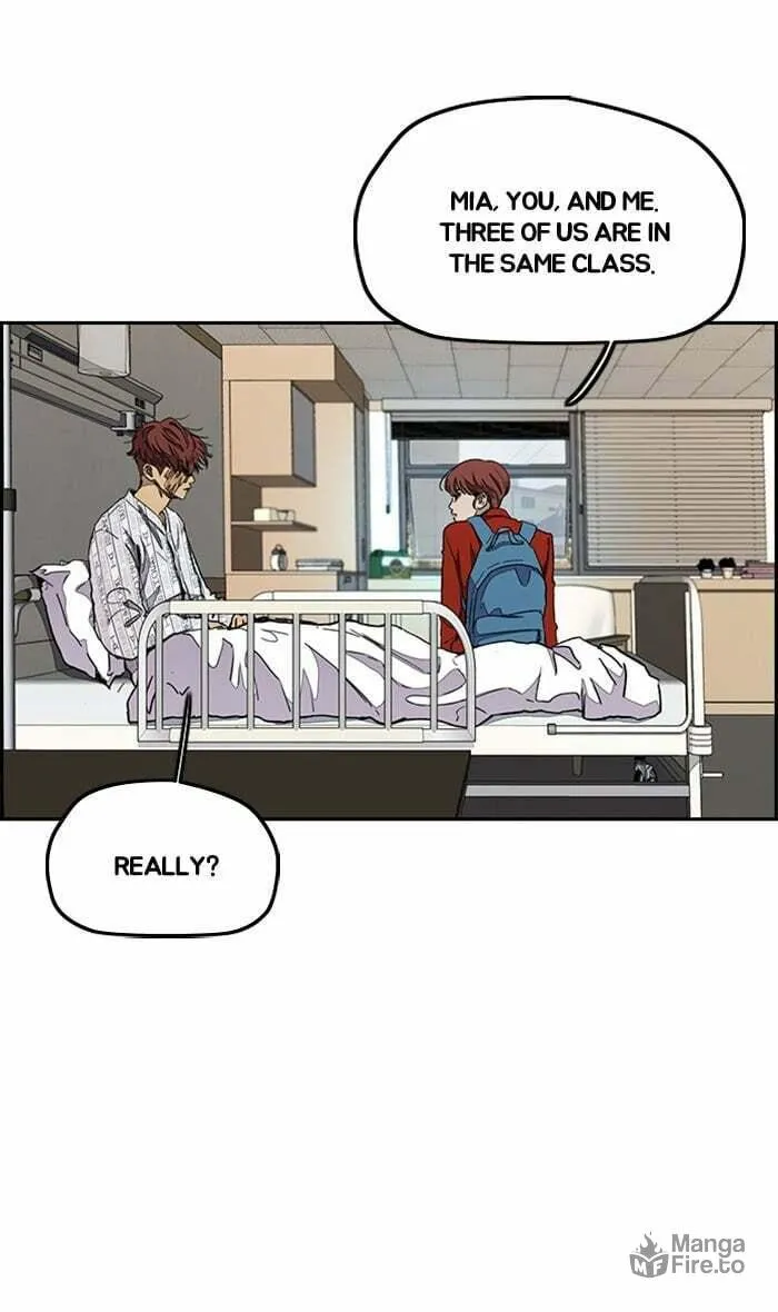 Read Wind Breaker Manga Online