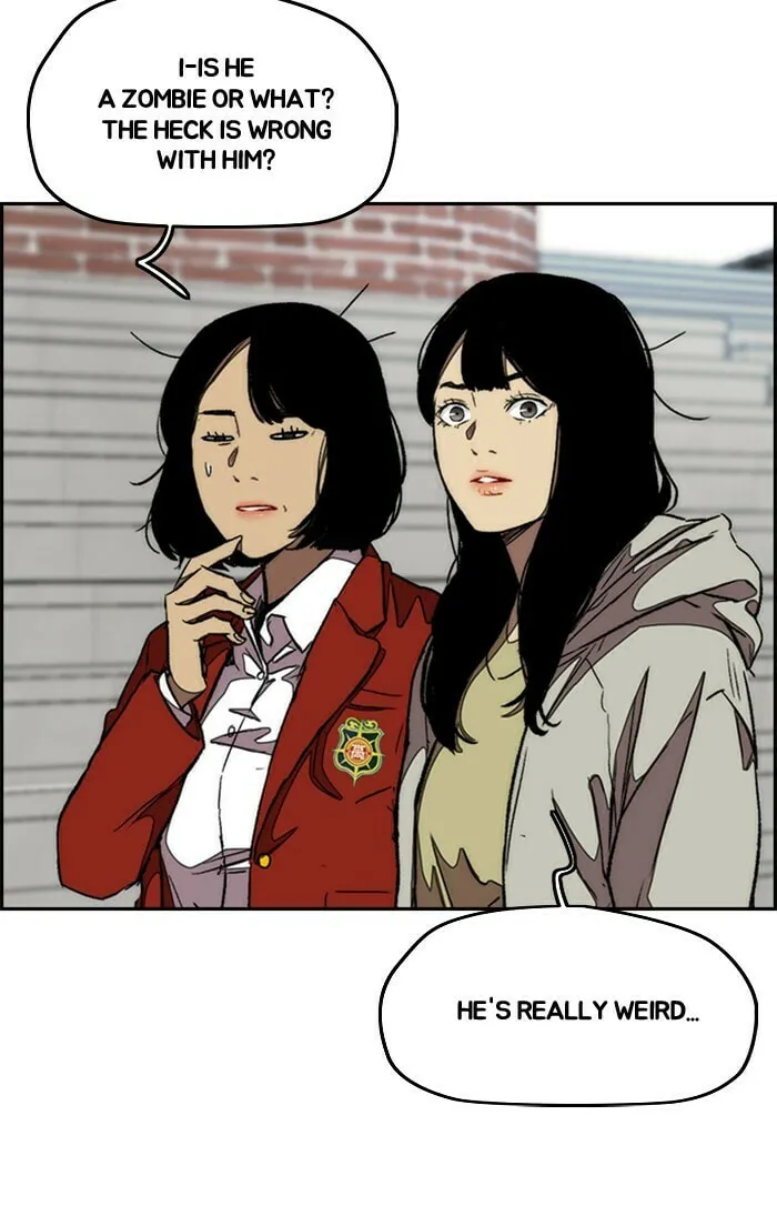 Read Wind Breaker Manga Online