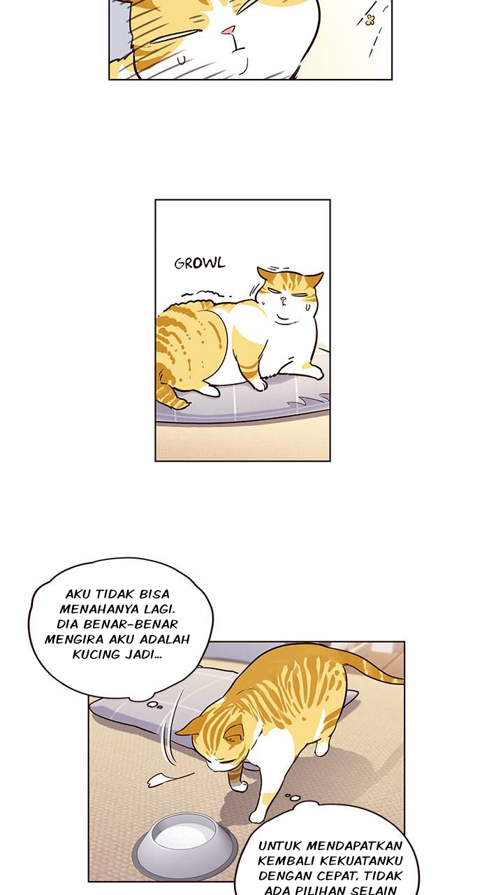 Read Eleceed (ID) Manga Online