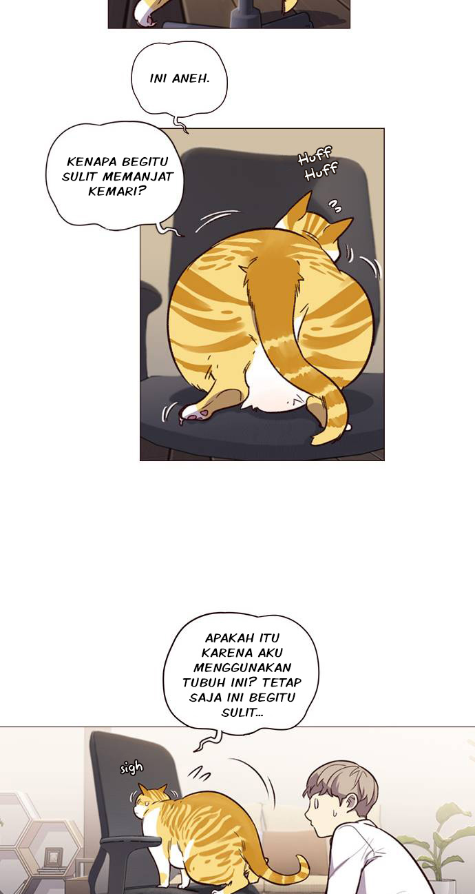 Read Eleceed (ID) Manga Online