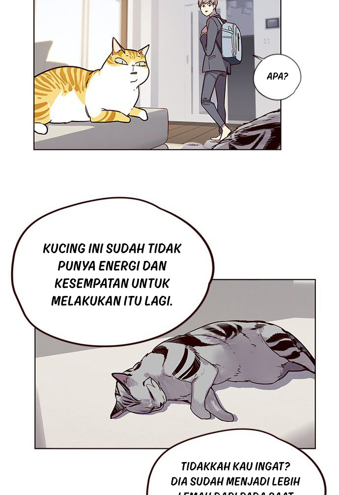 Read Eleceed (ID) Manga Online