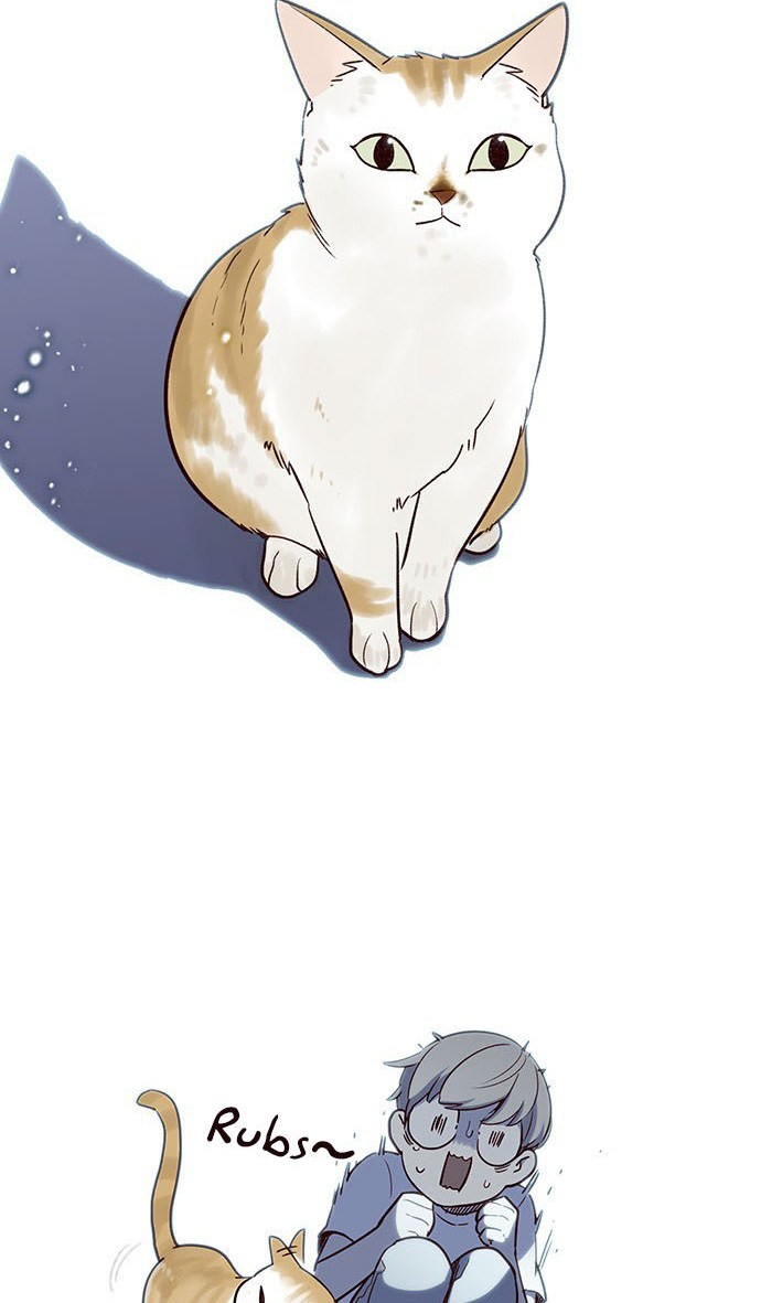 Read Eleceed (ID) Manga Online