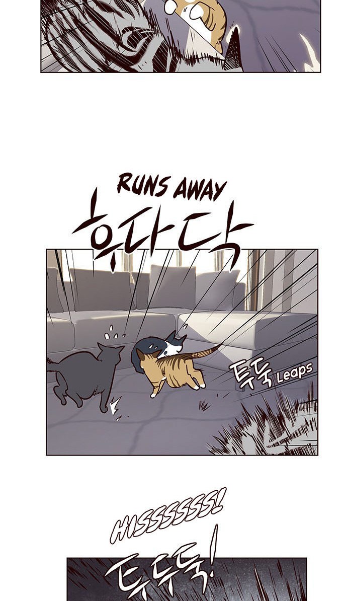 Read Eleceed (ID) Manga Online