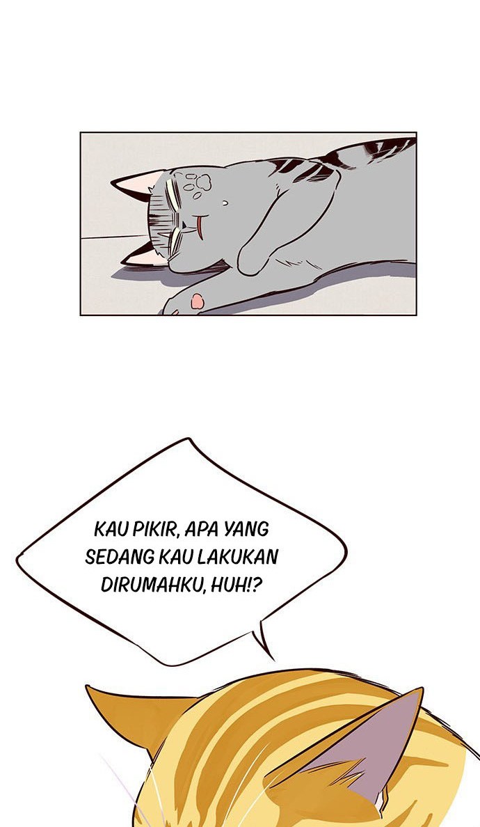 Read Eleceed (ID) Manga Online