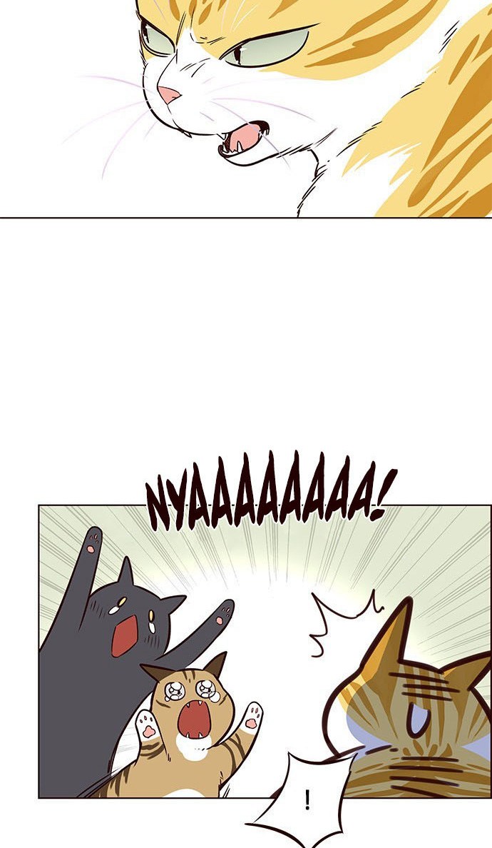 Read Eleceed (ID) Manga Online