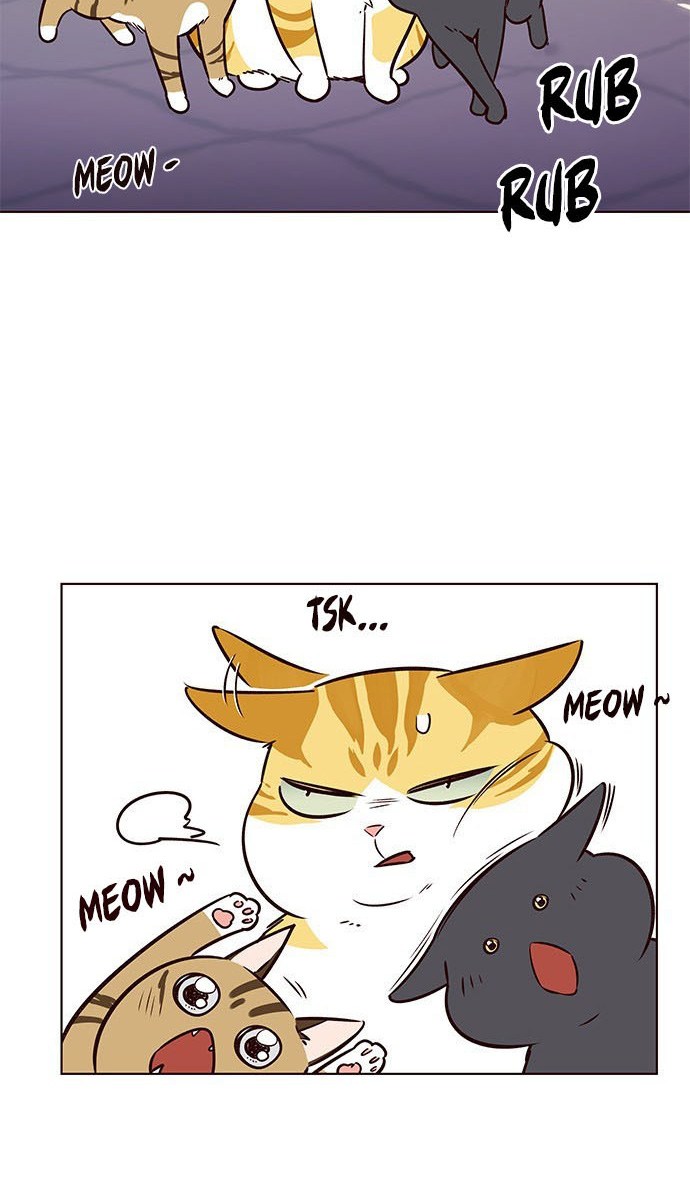 Read Eleceed (ID) Manga Online