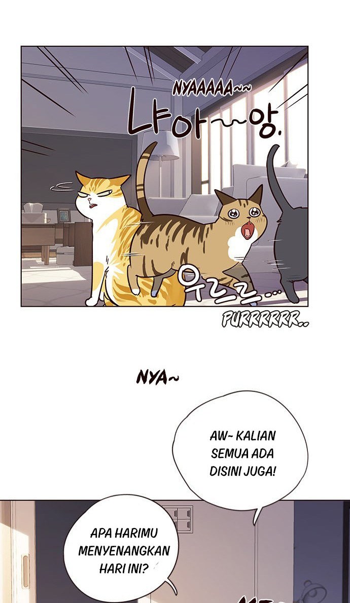Read Eleceed (ID) Manga Online
